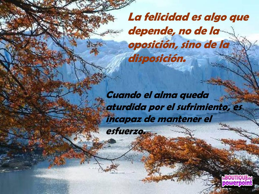 La felicidad es algo que depende, no de la oposición, sino de la disposición.