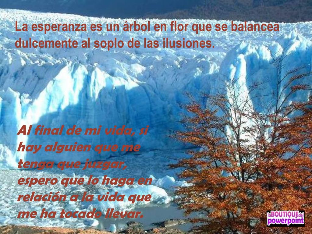 La esperanza es un árbol en flor que se balancea dulcemente al soplo de las ilusiones.