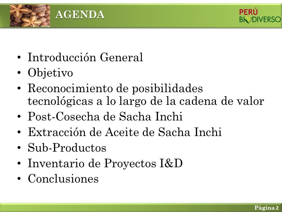 Post-Cosecha de Sacha Inchi Extracción de Aceite de Sacha Inchi