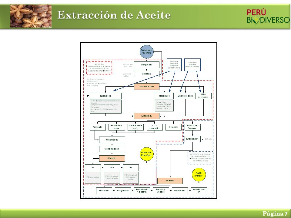 Extracción de Aceite Página 7