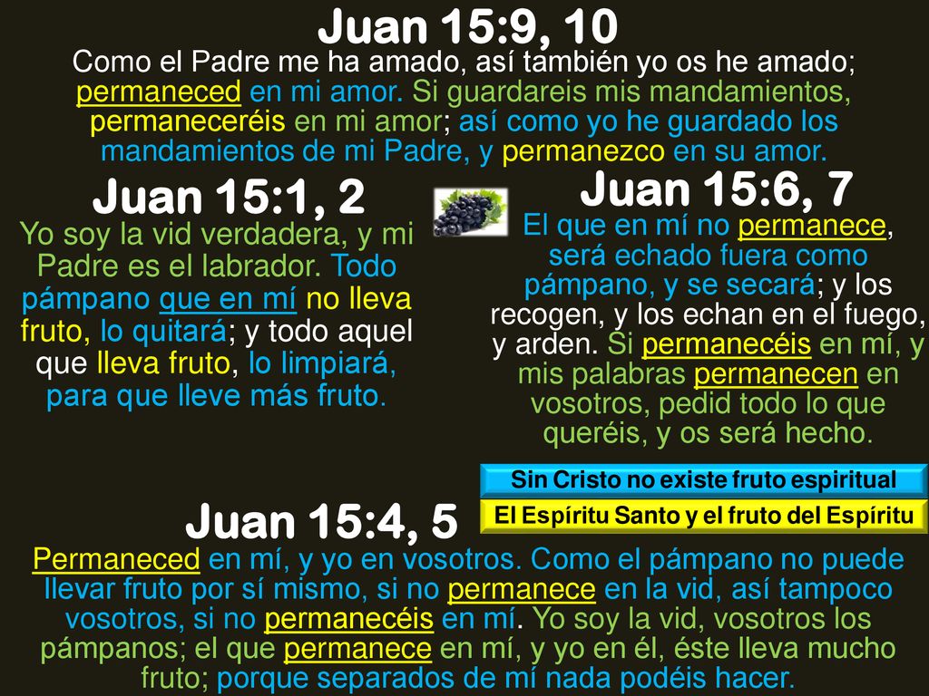 Juan 15:9, 10 Juan 15:6, 7 Juan 15:1, 2 Juan 15:4, 5