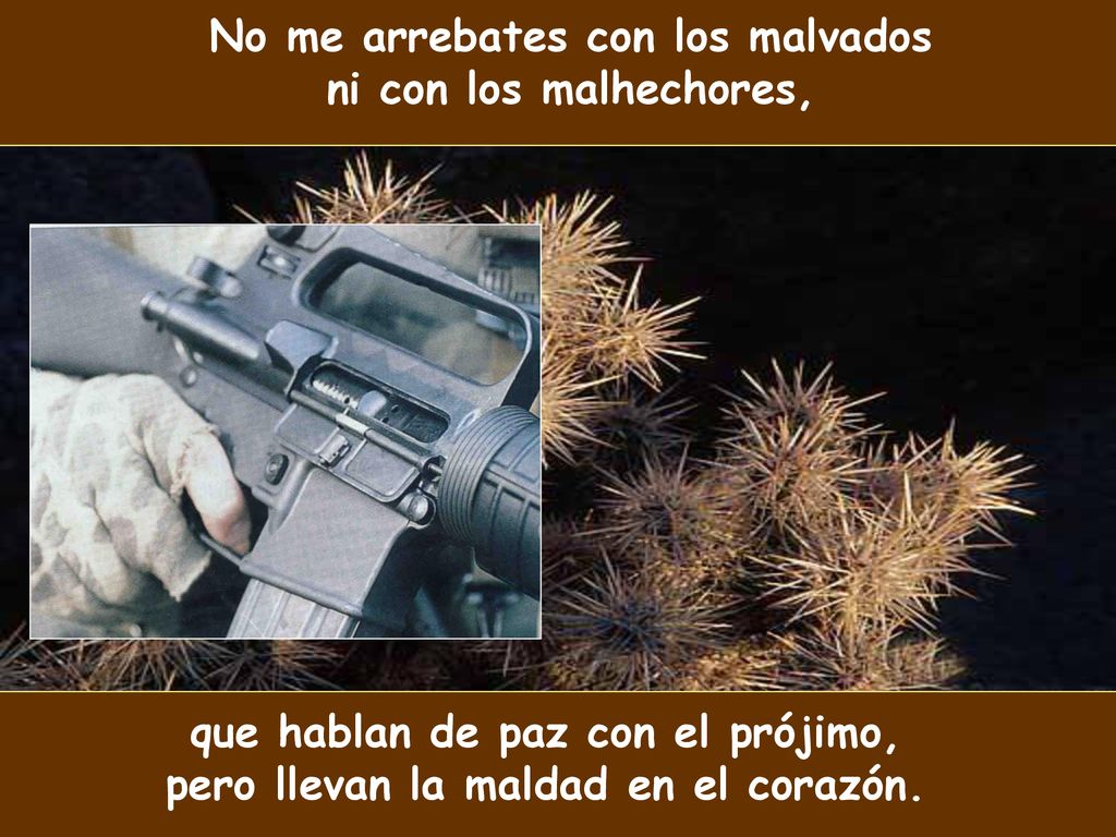 No me arrebates con los malvados ni con los malhechores,