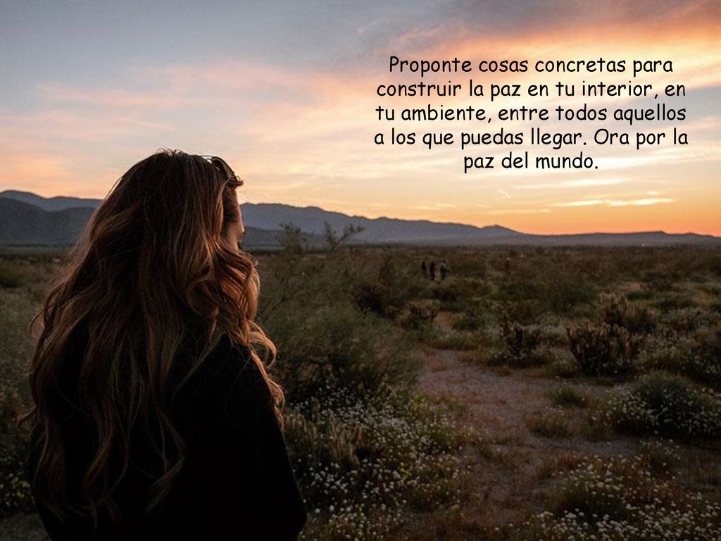 Proponte cosas concretas para construir la paz en tu interior, en tu ambiente, entre todos aquellos a los que puedas llegar.