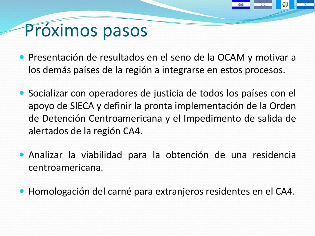 Próximos pasos Presentación de resultados en el seno de la OCAM y motivar a los demás países de la región a integrarse en estos procesos.