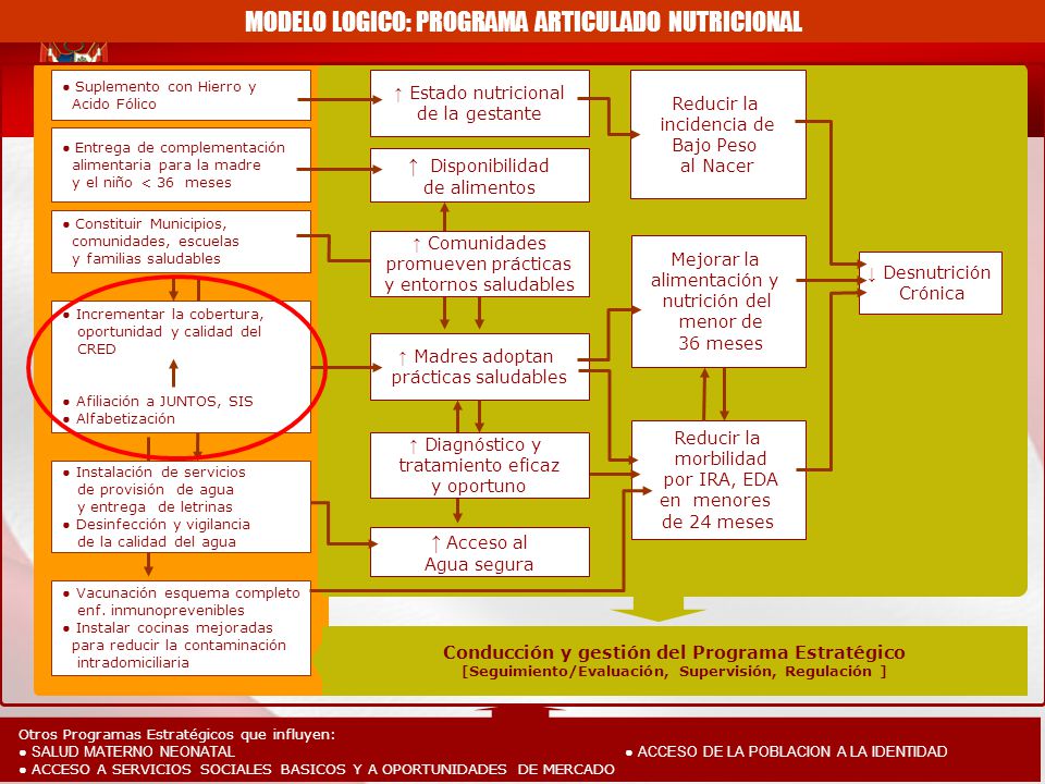 MODELO LOGICO: PROGRAMA ARTICULADO NUTRICIONAL