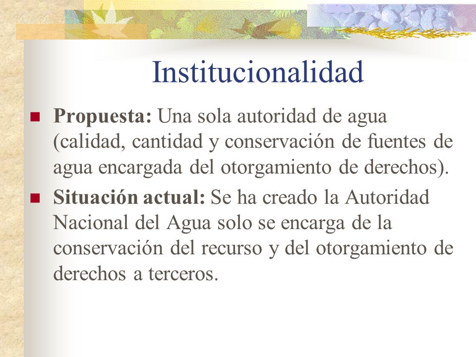 Institucionalidad Propuesta: Una sola autoridad de agua (calidad, cantidad y conservación de fuentes de agua encargada del otorgamiento de derechos).