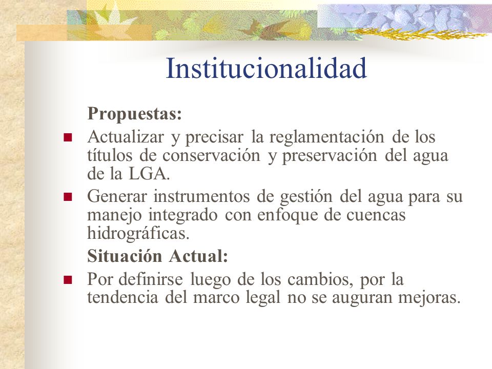 Institucionalidad Propuestas:
