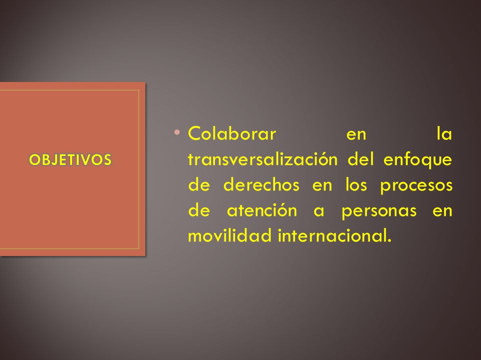 Colaborar en la transversalización del enfoque de derechos en los procesos de atención a personas en movilidad internacional.