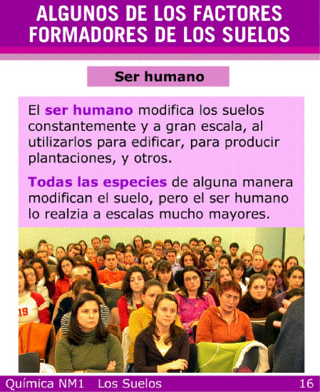 Actividad sugerida Trabaja junto a tus compañeros: ¿Qué otros factores pueden ser importantes en la formación de los distintos suelos