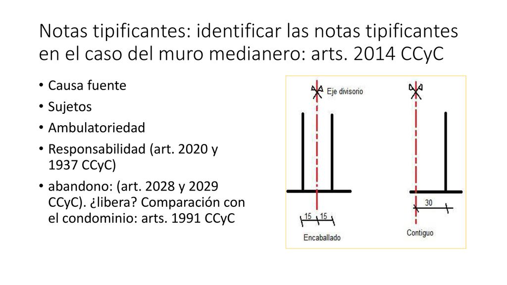 Notas tipificantes: identificar las notas tipificantes en el caso del muro medianero: arts CCyC