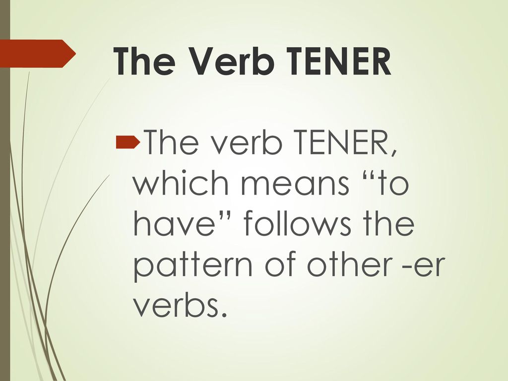 The Verb TENER The verb TENER, which means to have follows the pattern of other -er verbs.