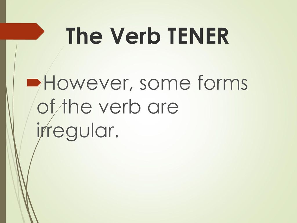 The Verb TENER However, some forms of the verb are irregular.