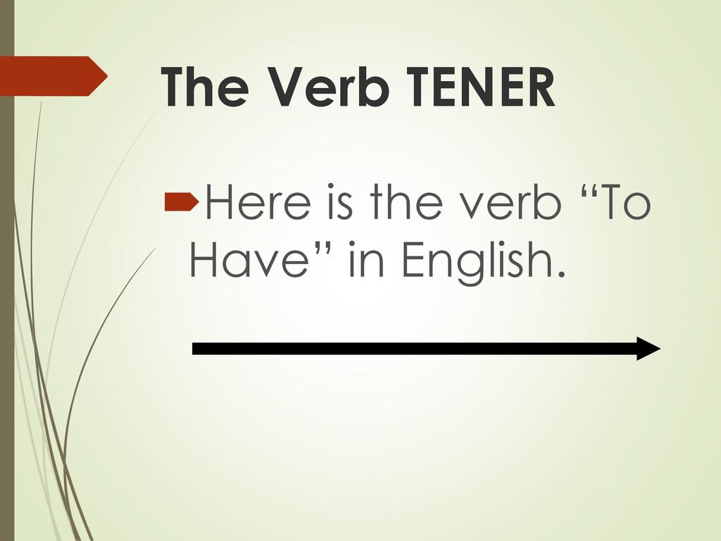 The Verb TENER Here is the verb To Have in English.
