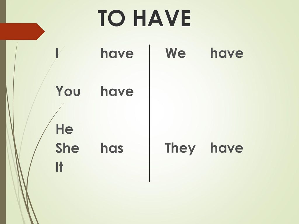 TO HAVE I have You have He She has It We have They have