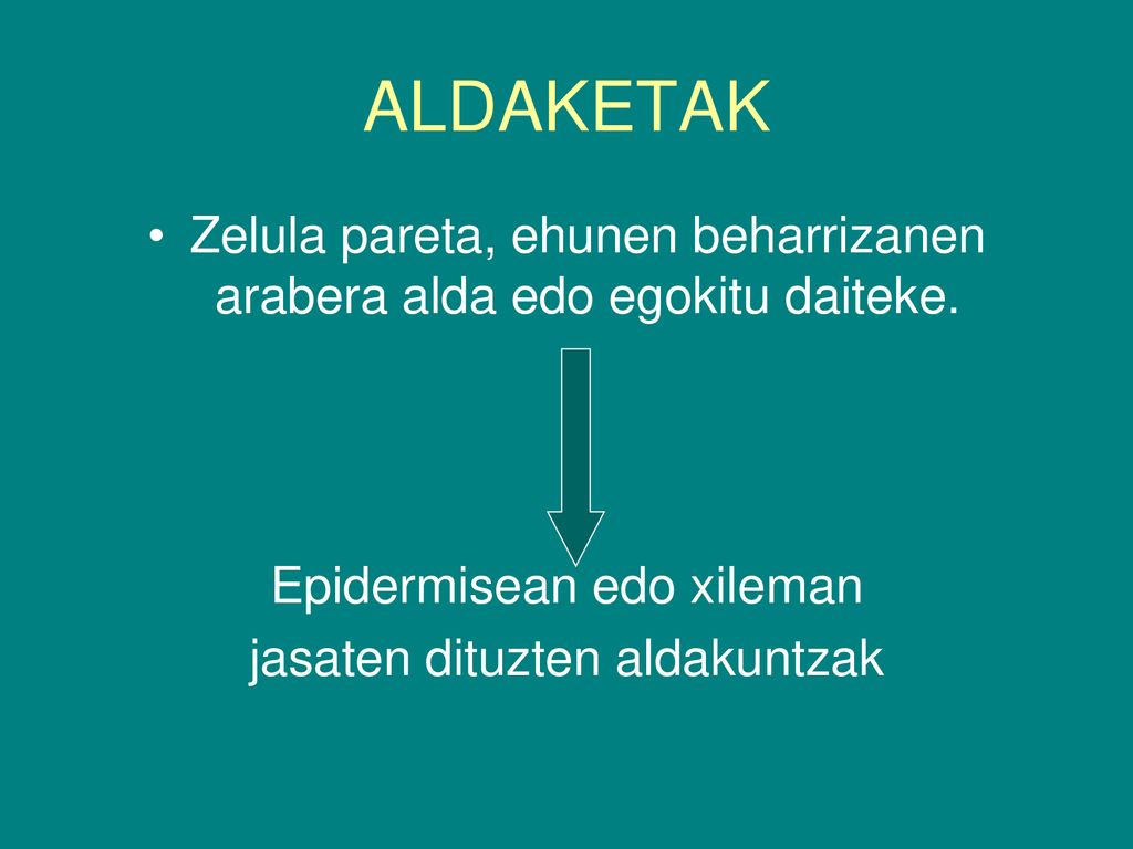 ALDAKETAK Zelula pareta, ehunen beharrizanen arabera alda edo egokitu daiteke. Epidermisean edo xileman.