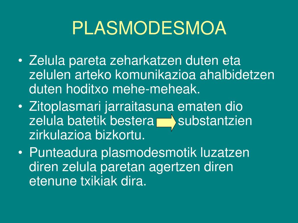 PLASMODESMOA Zelula pareta zeharkatzen duten eta zelulen arteko komunikazioa ahalbidetzen duten hoditxo mehe-meheak.