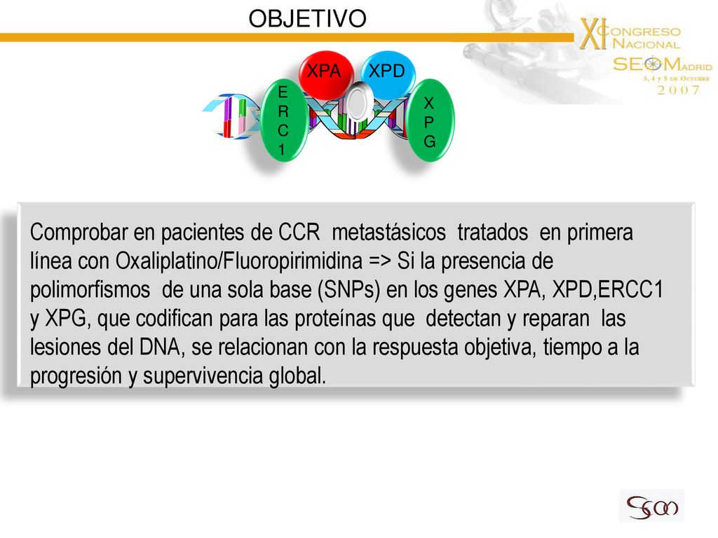 OBJETIVO XPA. XPD. E. R. C. 1. X. P. G.