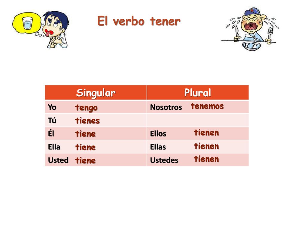 El verbo tener Singular Plural Yo Nosotros Tú Él Ellos Ella Ellas