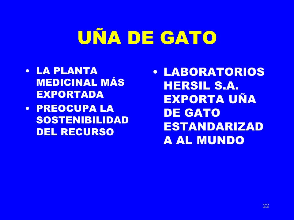 UÑA DE GATO LA PLANTA MEDICINAL MÁS EXPORTADA. PREOCUPA LA SOSTENIBILIDAD DEL RECURSO.