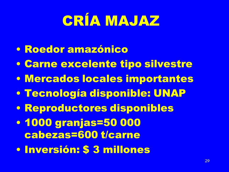 CRÍA MAJAZ Roedor amazónico Carne excelente tipo silvestre