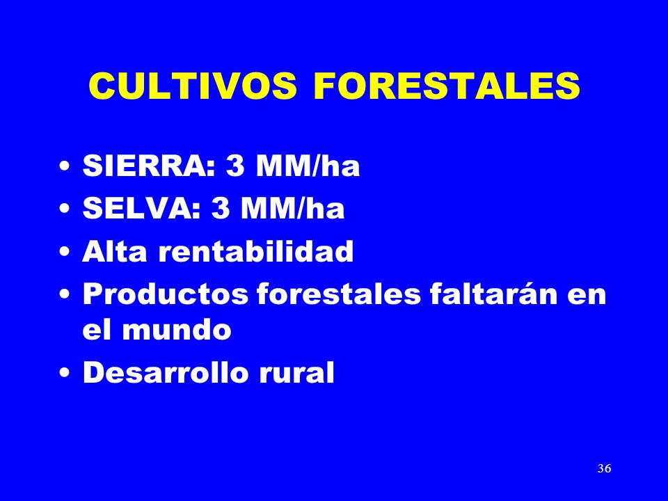 CULTIVOS FORESTALES SIERRA: 3 MM/ha SELVA: 3 MM/ha Alta rentabilidad