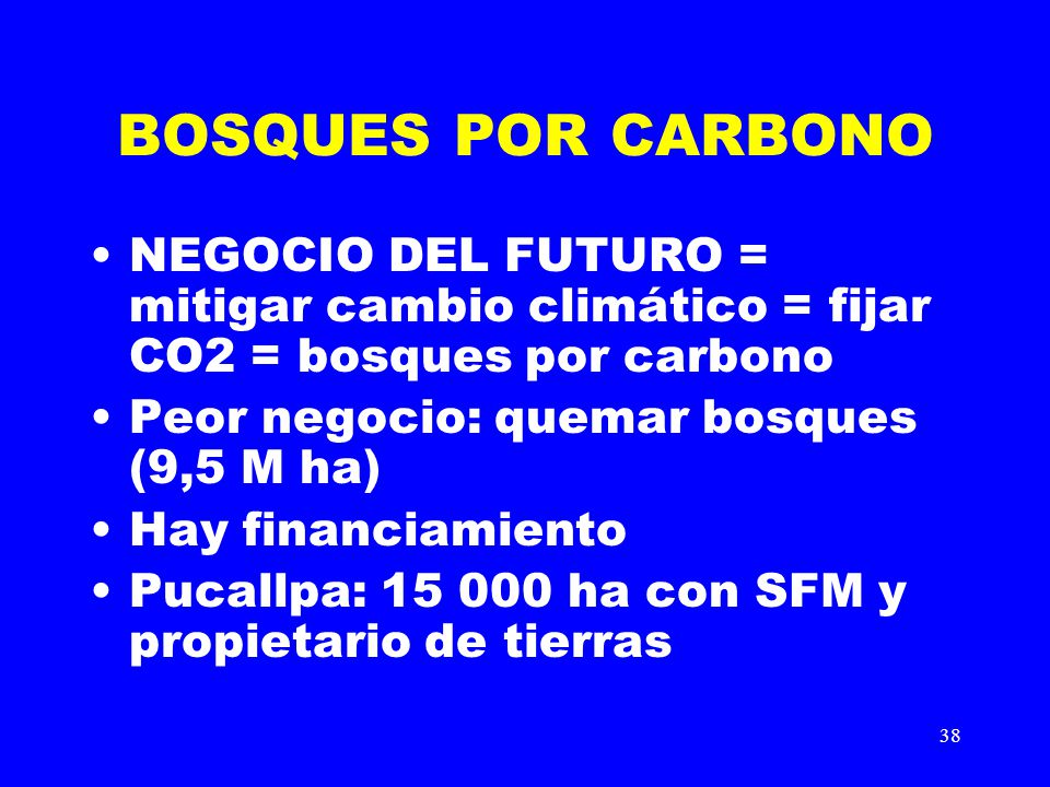 BOSQUES POR CARBONO NEGOCIO DEL FUTURO = mitigar cambio climático = fijar CO2 = bosques por carbono.