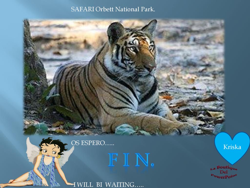 F I N. SAFARI Orbett National Park. Kriska OS ESPERO…..