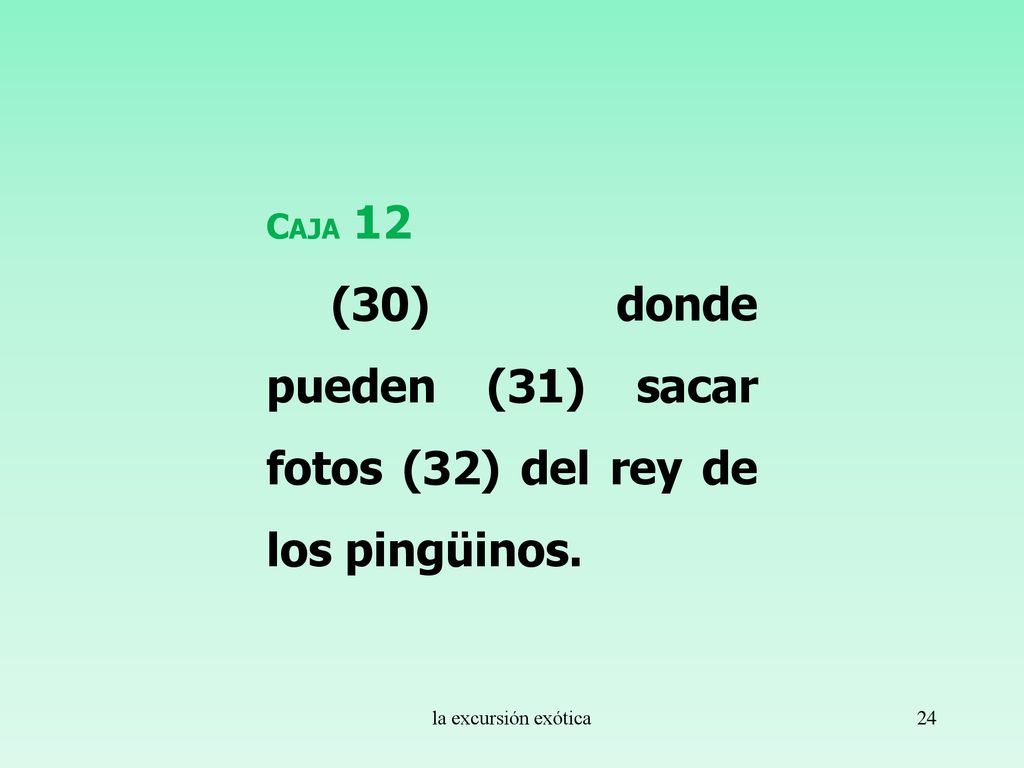 (30) donde pueden (31) sacar fotos (32) del rey de los pingüinos.