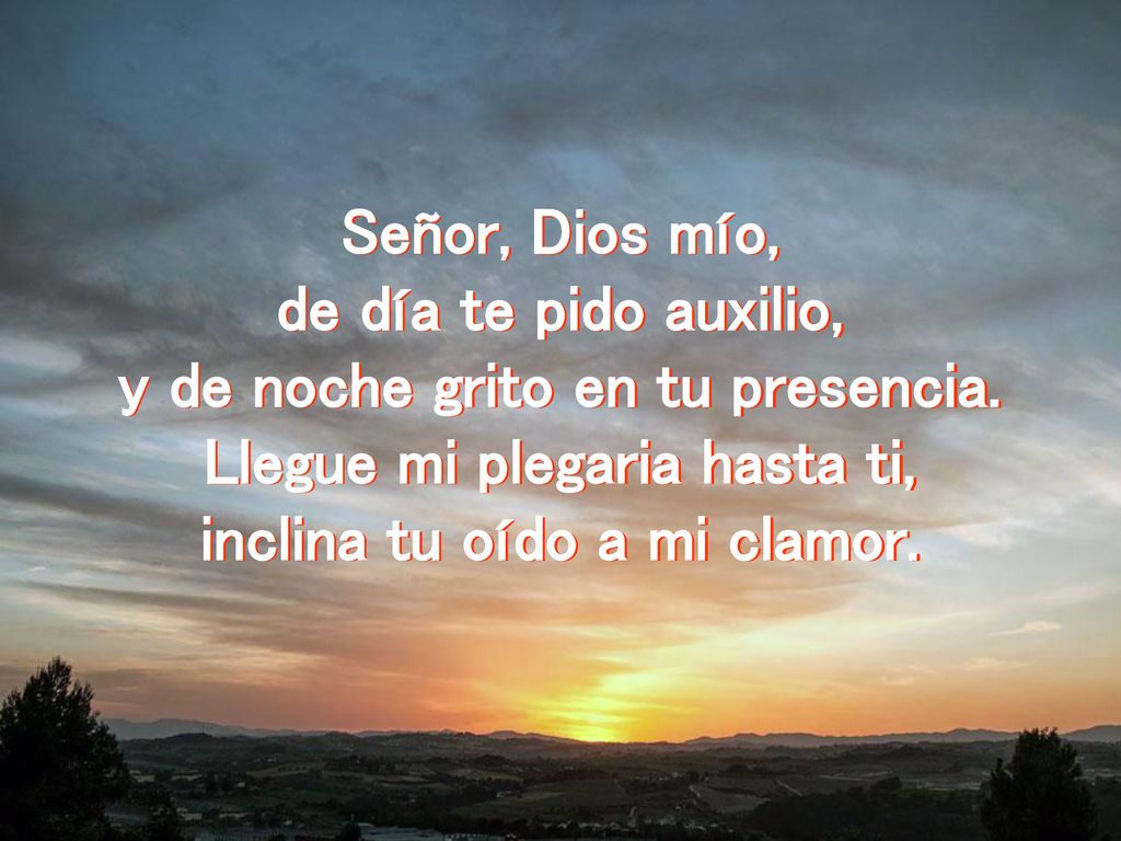 y de noche grito en tu presencia. Llegue mi plegaria hasta ti,