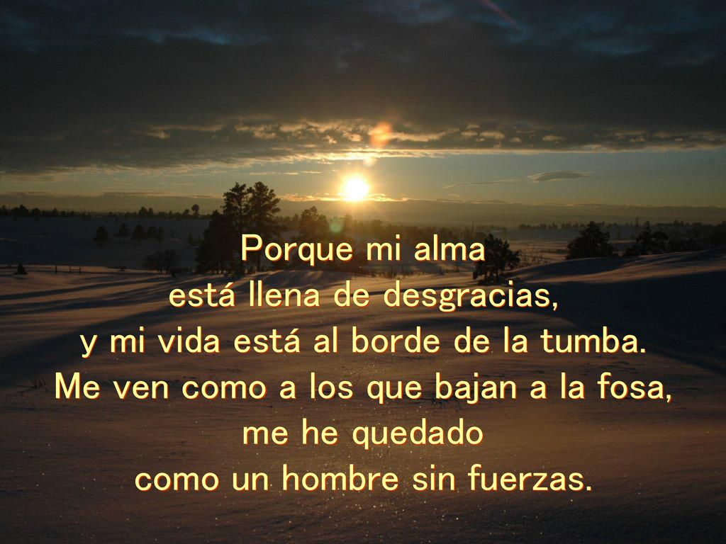 está llena de desgracias, y mi vida está al borde de la tumba.