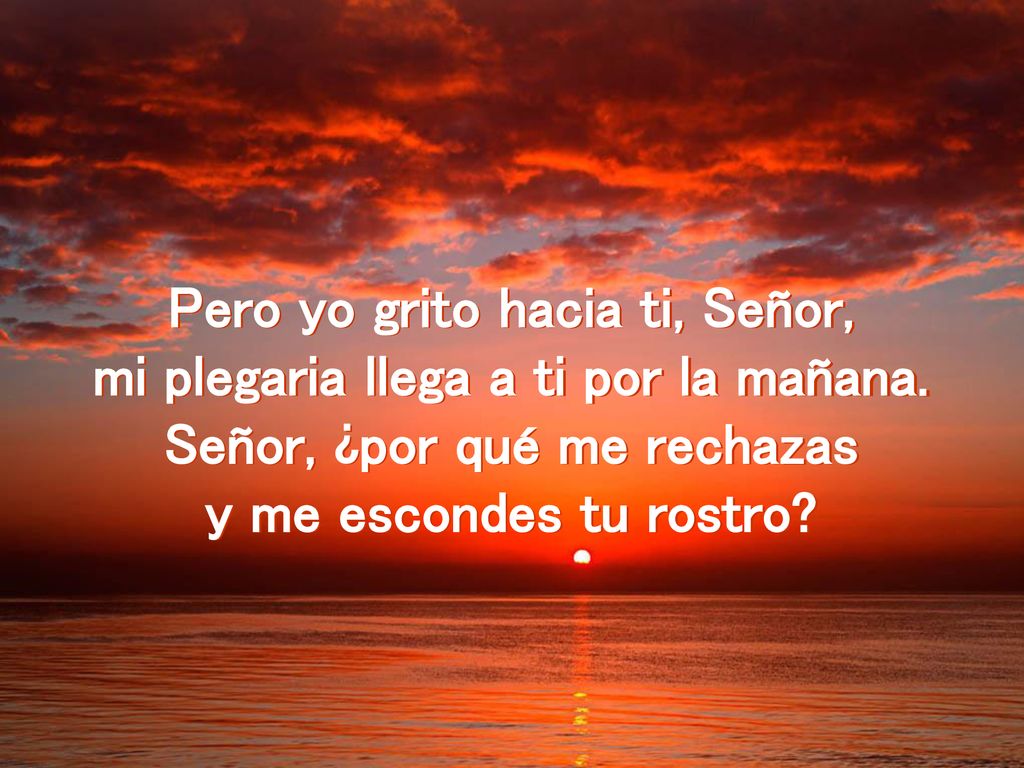 Pero yo grito hacia ti, Señor, mi plegaria llega a ti por la mañana.