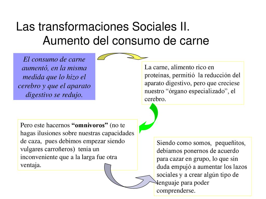 Las transformaciones Sociales II. Aumento del consumo de carne