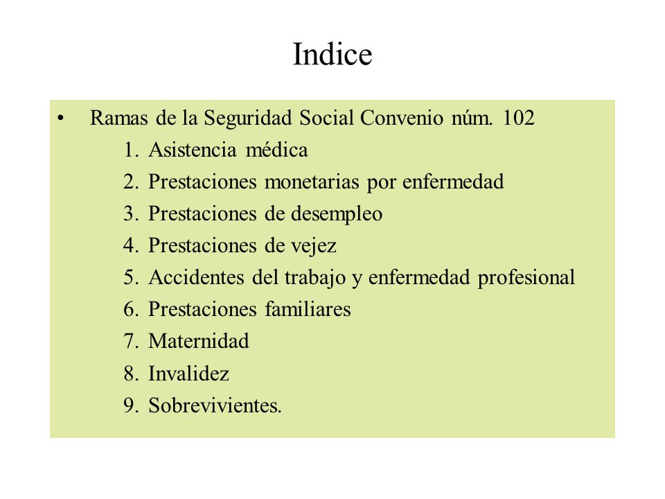 Indice Ramas de la Seguridad Social Convenio núm. 102