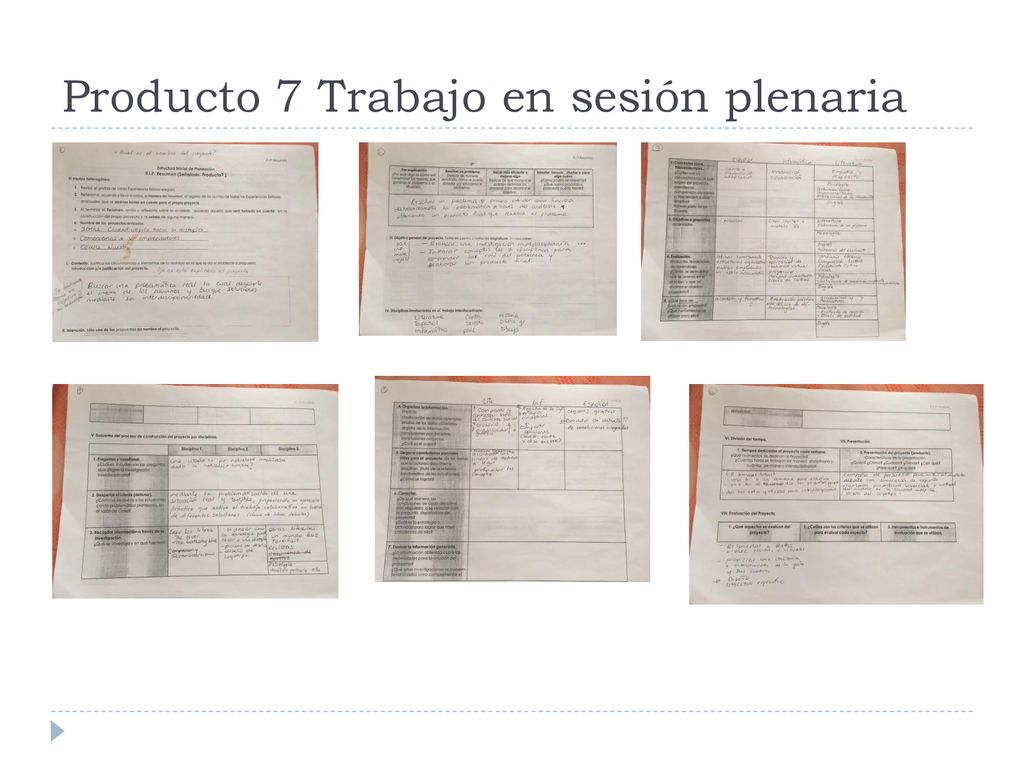 Producto 7 Trabajo en sesión plenaria