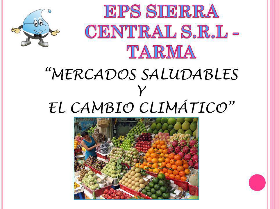 EPS SIERRA CENTRAL S.R.L - TARMA