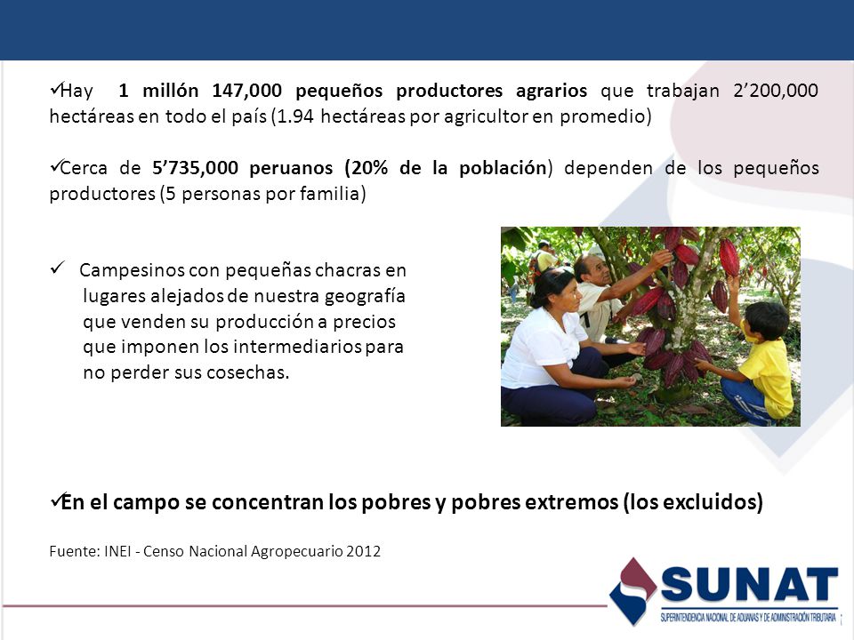 En el campo se concentran los pobres y pobres extremos (los excluidos)
