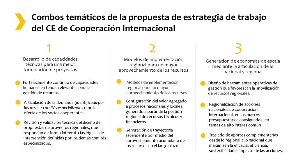 Combos temáticos de la propuesta de estrategia de trabajo del CE de Cooperación Internacional