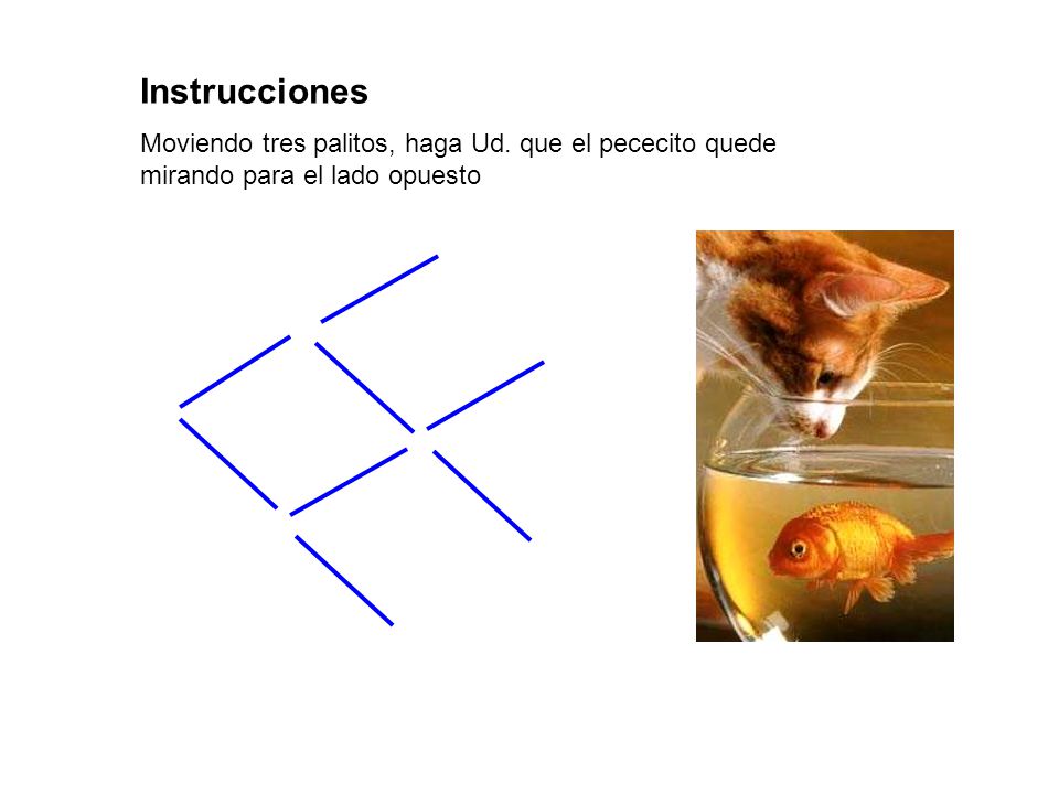 Instrucciones Moviendo tres palitos, haga Ud. que el pececito quede mirando para el lado opuesto