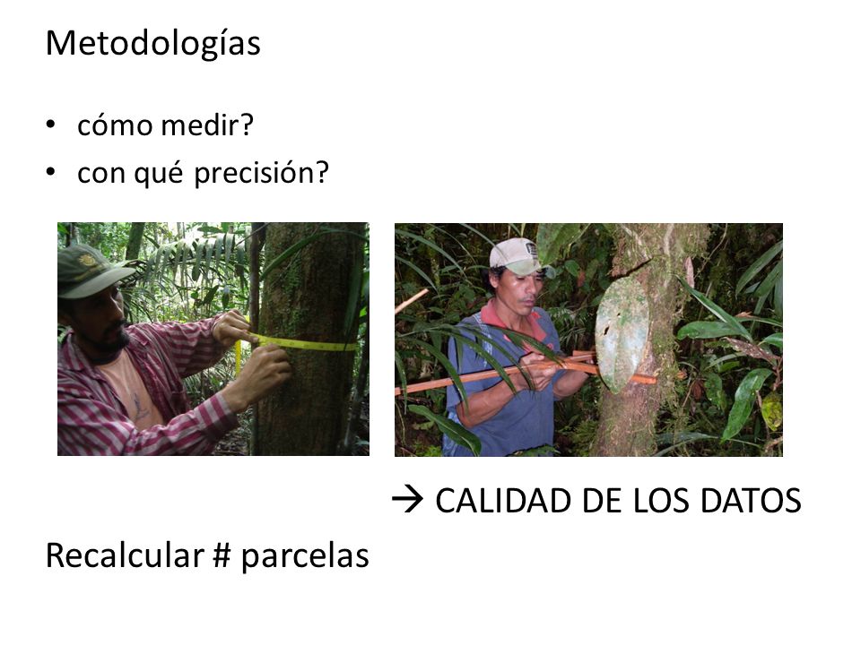 Metodologías  CALIDAD DE LOS DATOS Recalcular # parcelas cómo medir