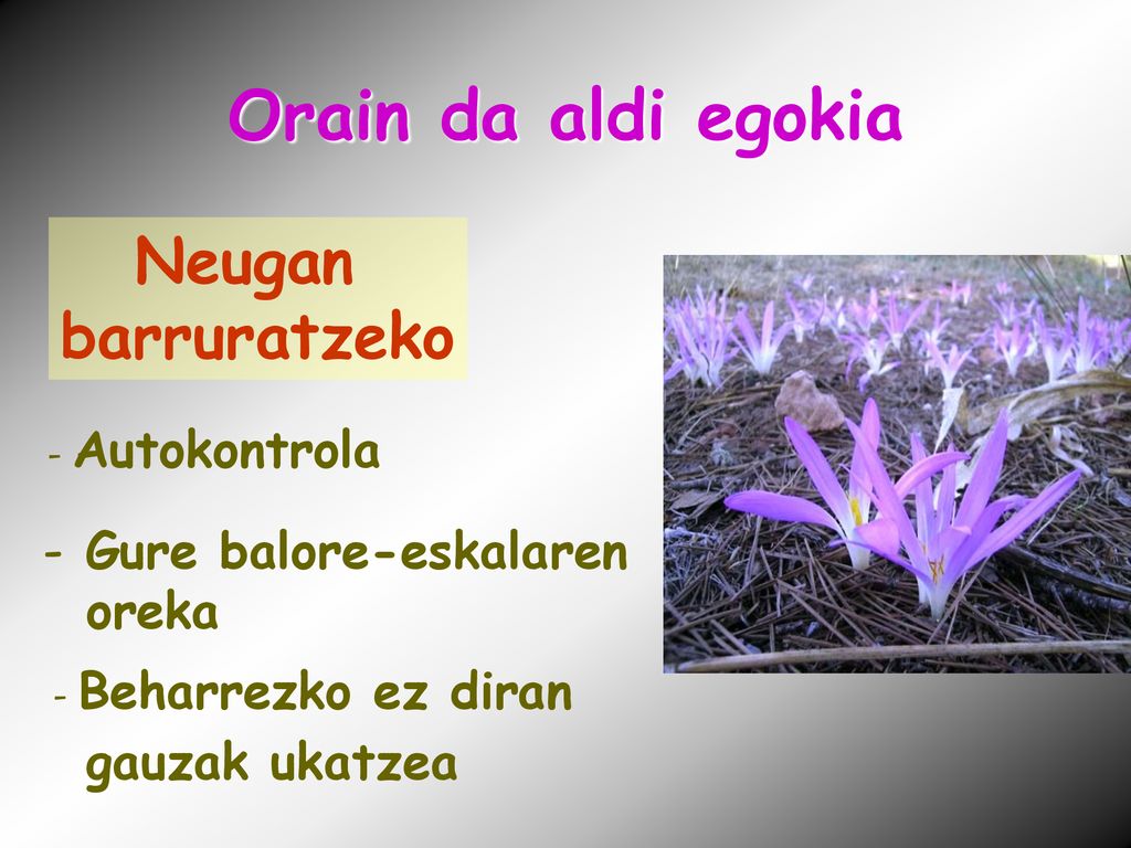 Orain da aldi egokia Neugan barruratzeko Gure balore-eskalaren oreka