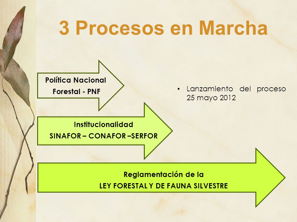 SINAFOR – CONAFOR –SERFOR LEY FORESTAL Y DE FAUNA SILVESTRE
