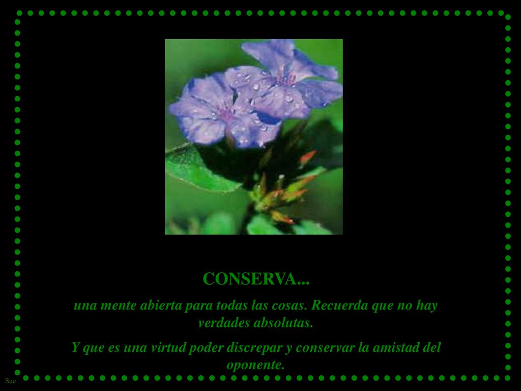CONSERVA... una mente abierta para todas las cosas. Recuerda que no hay verdades absolutas.