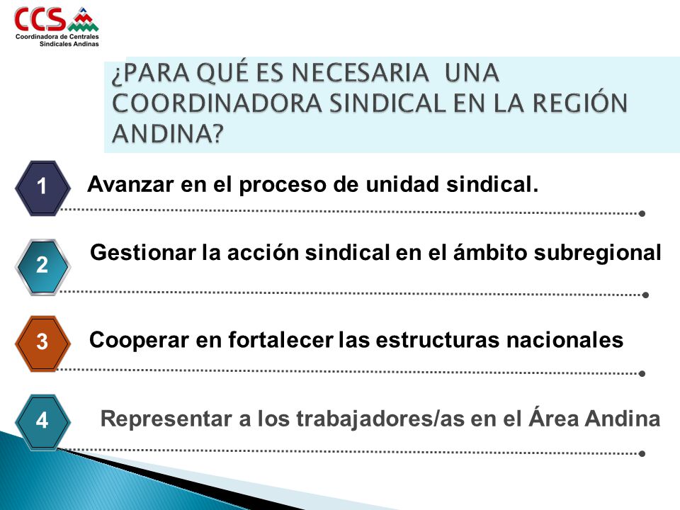 ¿PARA QUÉ ES NECESARIA UNA COORDINADORA SINDICAL EN LA REGIÓN ANDINA