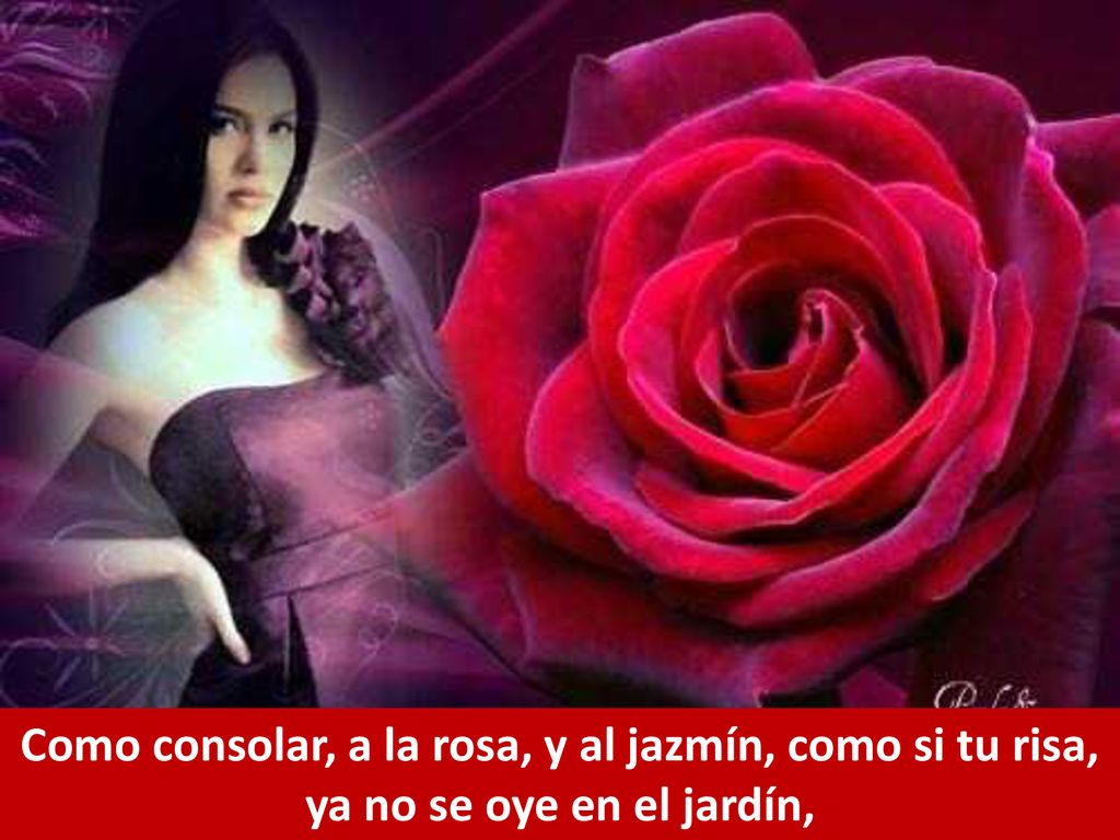 Como consolar, a la rosa, y al jazmín, como si tu risa, ya no se oye en el jardín,