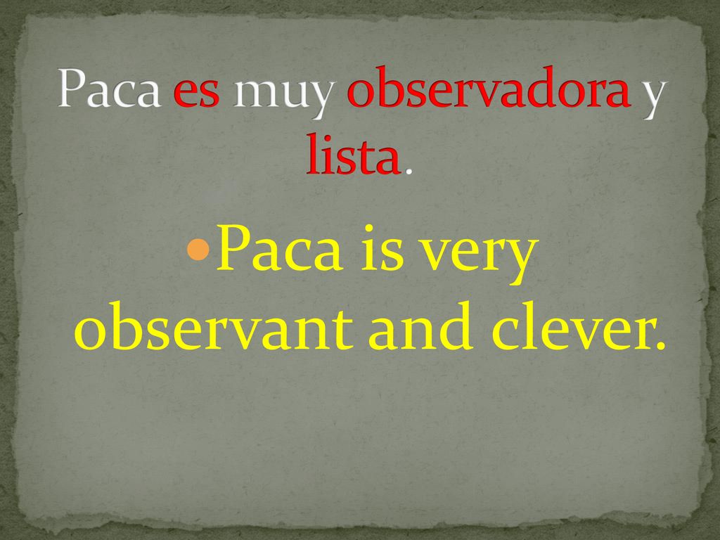 Paca es muy observadora y lista.