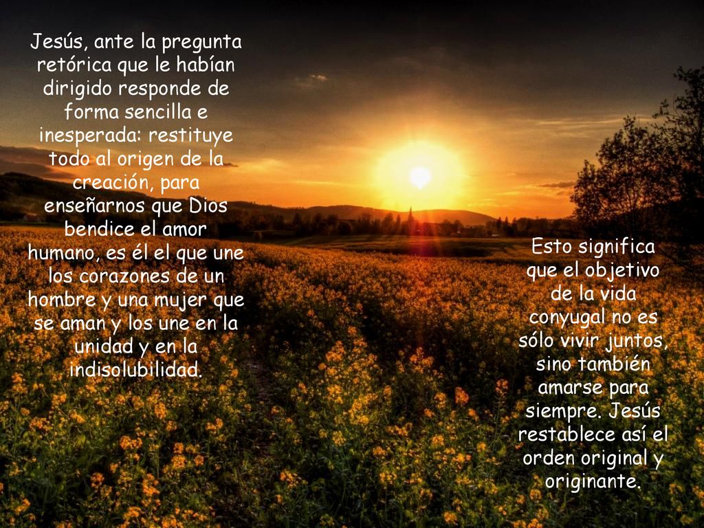 Jesús, ante la pregunta retórica que le habían dirigido responde de forma sencilla e inesperada: restituye todo al origen de la creación, para enseñarnos que Dios bendice el amor humano, es él el que une los corazones de un hombre y una mujer que se aman y los une en la unidad y en la indisolubilidad.