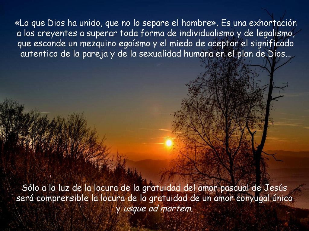 «Lo que Dios ha unido, que no lo separe el hombre»