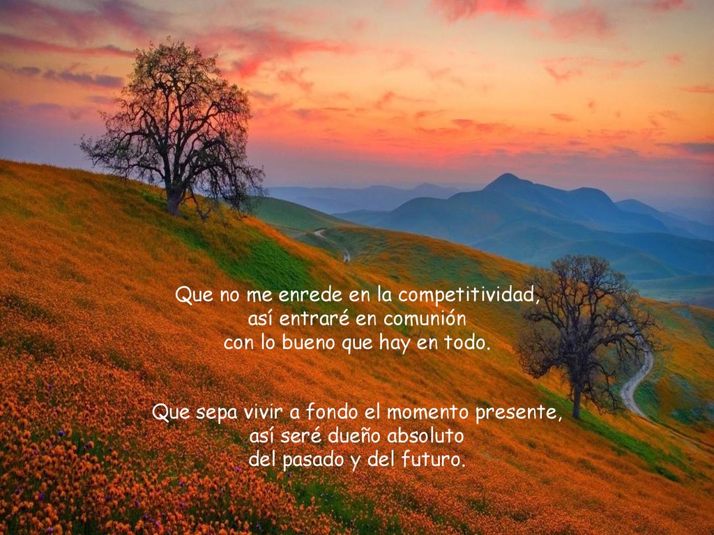 Que no me enrede en la competitividad, así entraré en comunión con lo bueno que hay en todo.