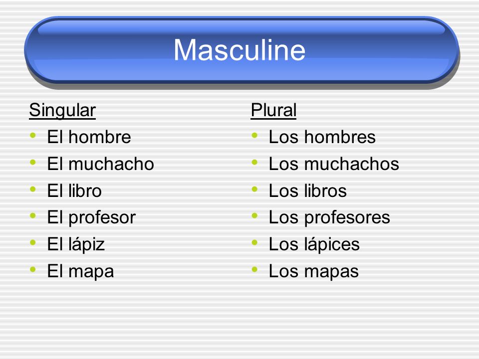 Masculine Singular El hombre El muchacho El libro El profesor El lápiz