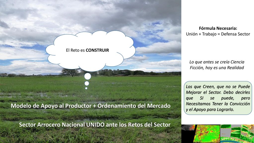 Sector Arrocero Nacional UNIDO ante los Retos del Sector